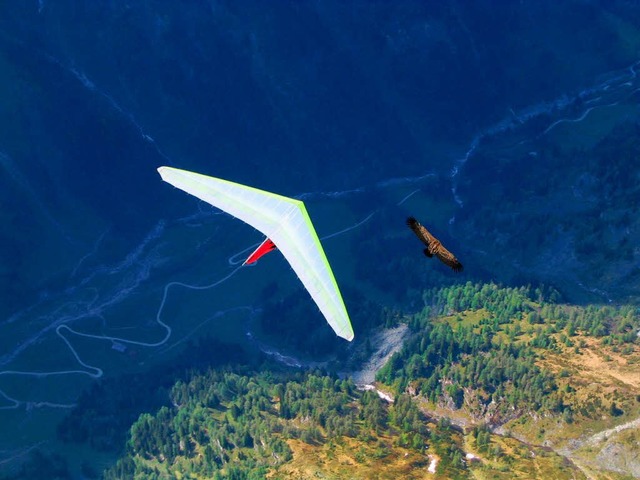 Roland Whrle bei einem Drachenflug am Kandel  | Foto: privat