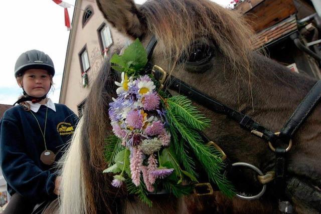 Fotos: Die schnsten Bilder vom Eulogiritt