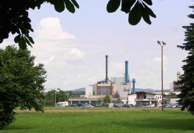 Die Freiflchen zwischen der Innenstad...11; gegen den Protest der Industrie.    | Foto: Ralf Staub