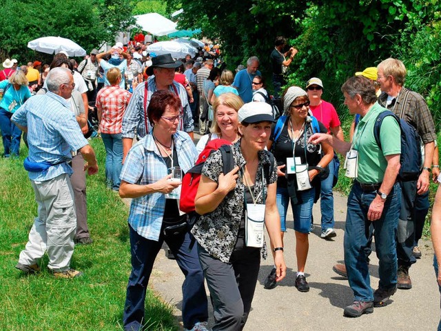 Rund 1600 Weinfreunde waren bei der Wanderung durch die Reben dabei.  | Foto: Benjamin Bohn