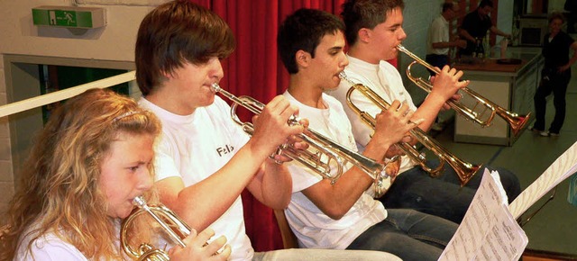 Das Jugendorchester des MV Langenau er... Sommerfest des Musikvereins Langenau.  | Foto: Georg Diehl