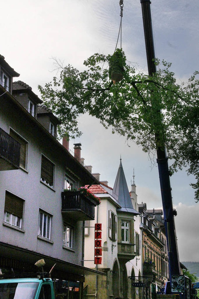 | Foto: Marlies Jung-Knoblich | Foto: Marlies Jung-Knoblich