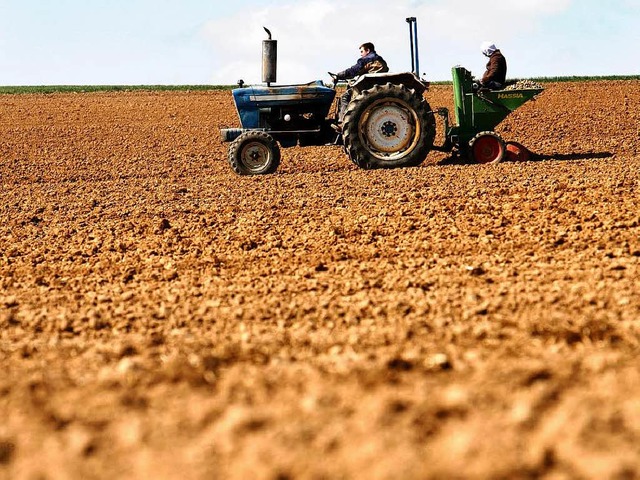 Nicht nur groflchige Landwirtschaft,...chen im Elztal bekommen Subventionen.  | Foto: dpa
