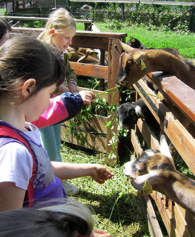 Fttern und streicheln: den Kindern und Ziegen gefllt&#8217;s.   | Foto: BZ