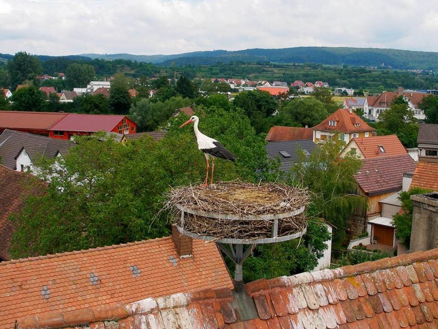 Um diese Storchenwohnung ging der tdl...s Bild zeigt den &#8222;Sieger&#8220;.  | Foto: Karlernst Lauffer