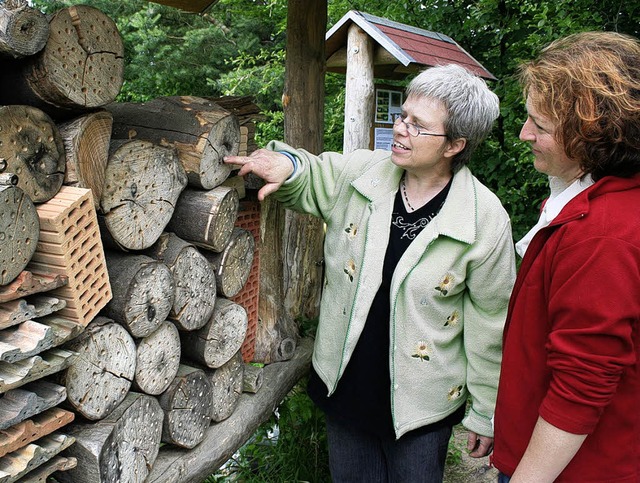 Die Vorsitzende des Imkervereins Breis...ern, wie sich Wildbienen   einnisten.   | Foto: elisabeth jakob klblin