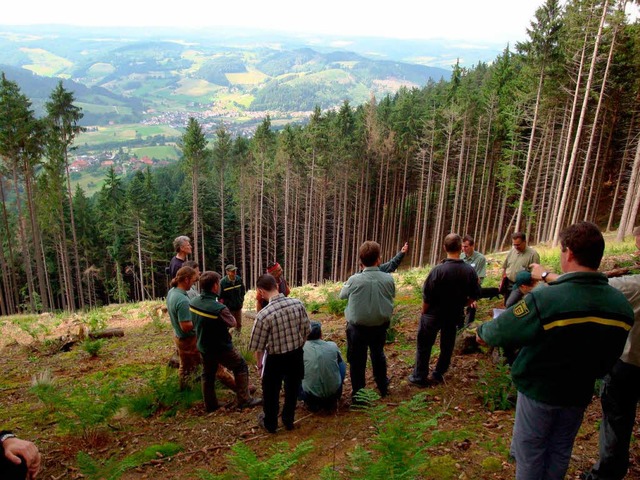 Waldexperten bei ihrer Exkursion auf dem Hrnleberg.  | Foto: regierungsprsidium