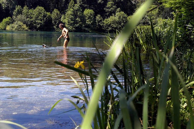 Khles Bad fr Hund und Herrchen: Der ...n, die am hchsten eingestuft wurden.   | Foto: ingo schneider