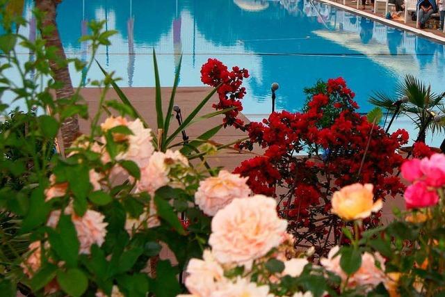 Stimmungsvoller Rosenabend im Ettenheimer Schwimmbad