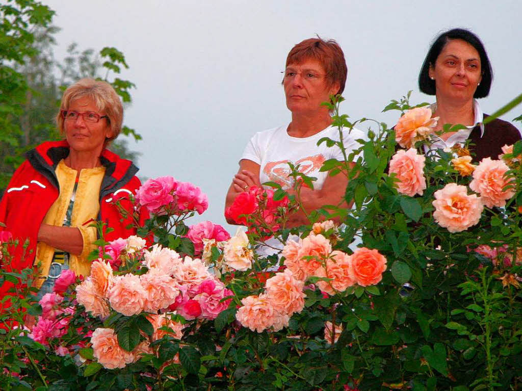 Rosenabend in Ettenheim