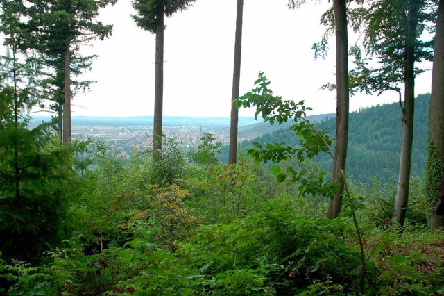 Der Blick vom Illenberg hinunter auf F...r&#8220; einst am schlimmsten gewtet.  | Foto: Joachim Rderer