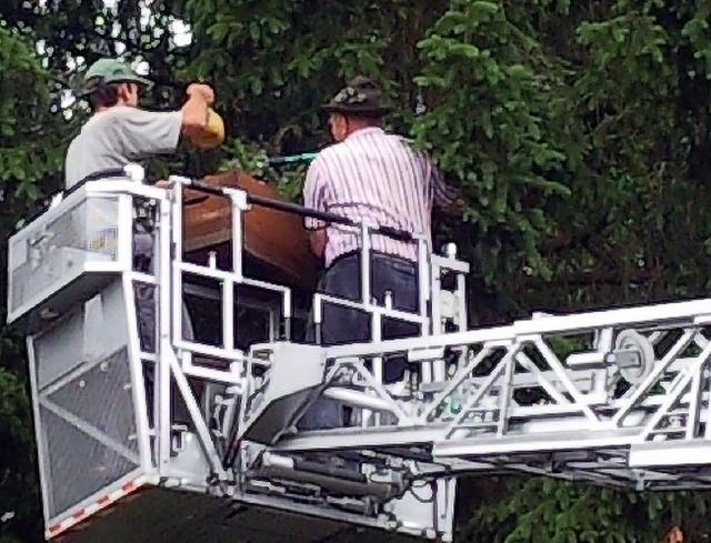 Tobias Faller vom Schwrerhof und Karl...en Bienenschwarm im Baum <ppp> </ppp>   | Foto: Thilo Braasch