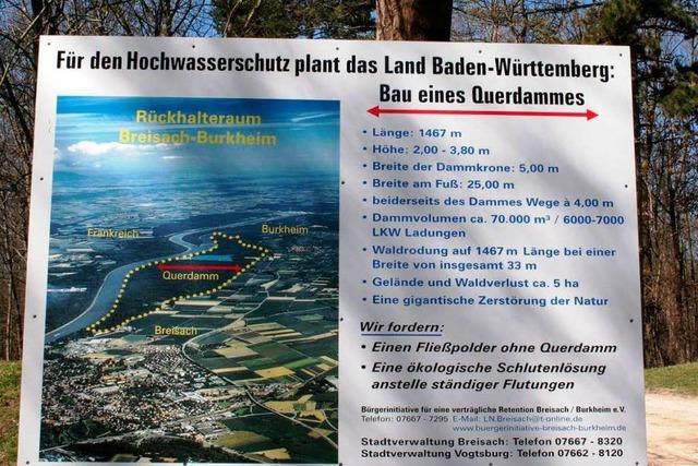 Bürgerinitiative will beim Rückhalteraum Breisach-Burkheim mitreden