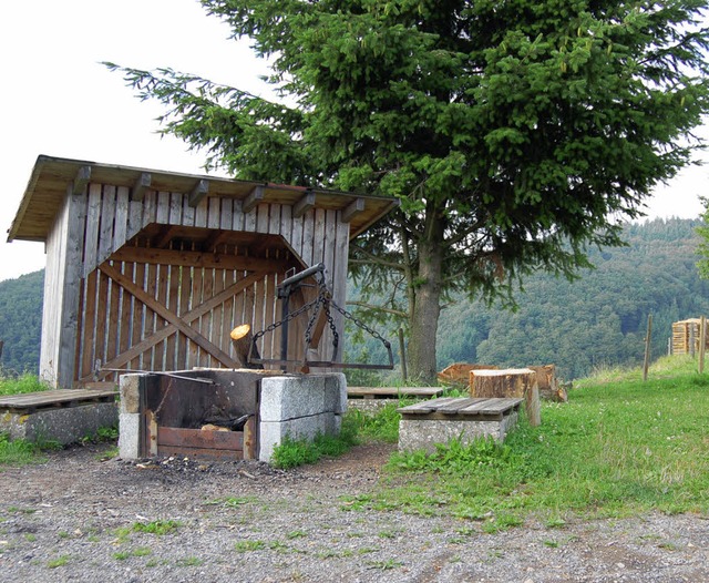 Waldflchen bieten gleich mehrere Funk...sfunktion muss gewhrleistet bleiben.   | Foto: Paul Berger