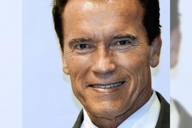 Schwarzenegger schickt Beamte in Zwangsurlaub