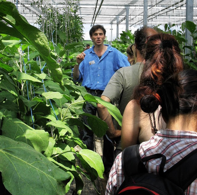 Gurke, Aubergine, Tomate:  Richard  Sp...rmierte ber den kologischen Anbau.    | Foto: k. mEyer