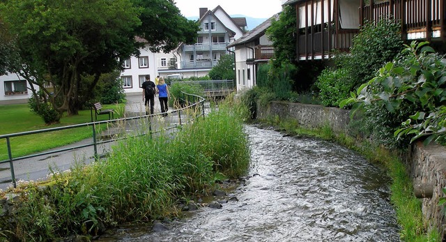 Die  Ufer des Osterbaches werden verndert und der Promenadenweg wird verlegt.  | Foto: barbara schmidt