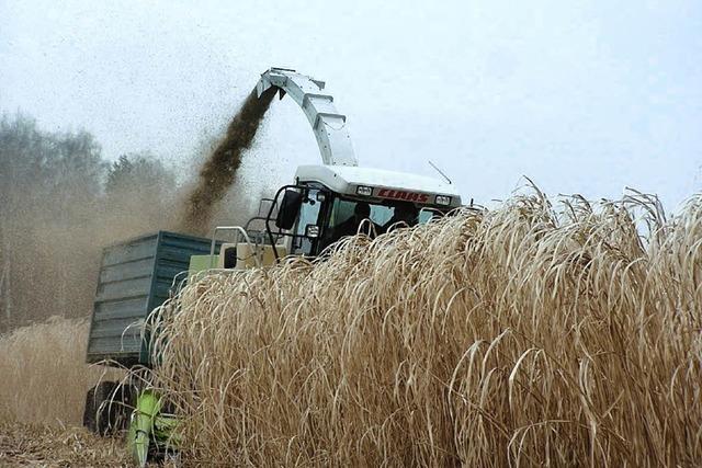 Willsttt packt an: Bio-Strom fr die Gemeinde