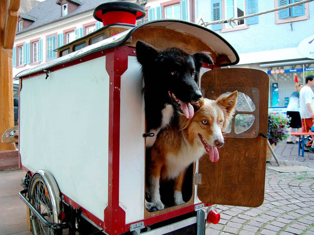 Impressionen vom Straenknstlerfestival 