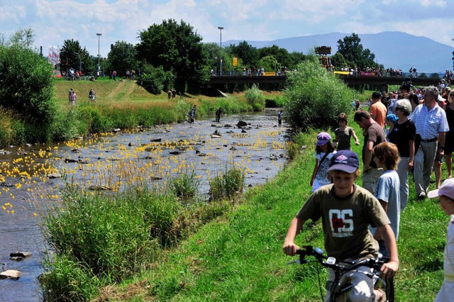 Die Elz, der gelbe Fluss von Entenhausen.  | Foto: Dieter Erggelet