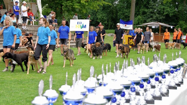 Hundesportler am Sonntagnachmittag bei...ordergrund die zu vergebenden Pokale.   | Foto: Roland Vitt