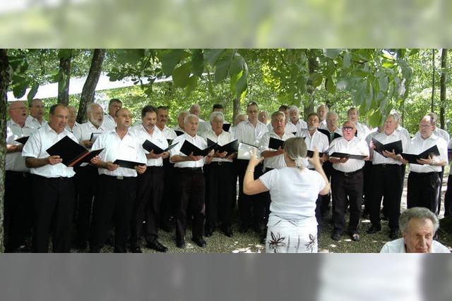 Chre singen im lauschigen Wald