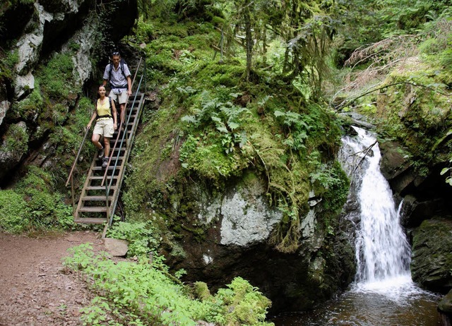 Die Wutachschlucht: Erst nach der bish... durch sie fhrt der Schluchtensteig.   | Foto: privat