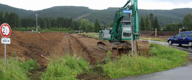 badeparadies schwarzwald  | Foto: peter stellmach