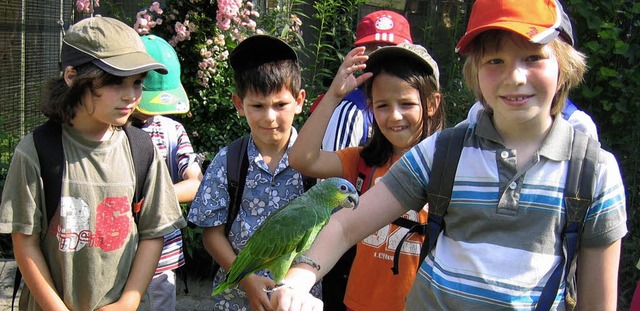 Papagei Rico eroberte  die Herzen der Nordweiler Schulkinder.  | Foto: Merz