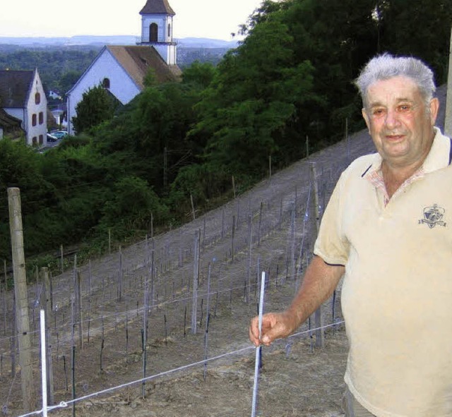 Gerhard Reinger, Winzer aus Istein, ha...ft in eine 20-Ar-Rebflche verwandelt.  | Foto: I. Bode