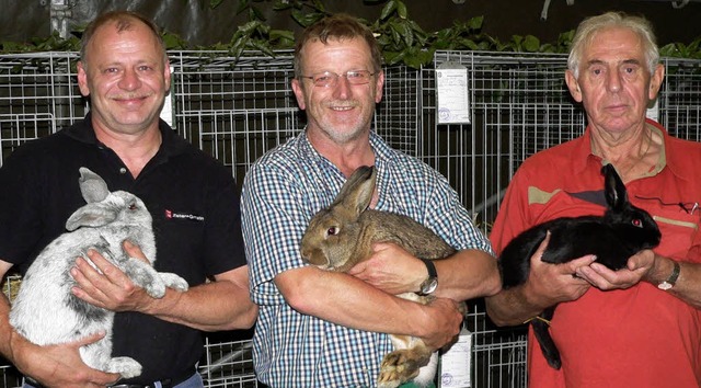 Bei der Fahrnauer Jungtierschau stellt...links) die schnsten  Kaninchen aus.    | Foto: Georg Diehl