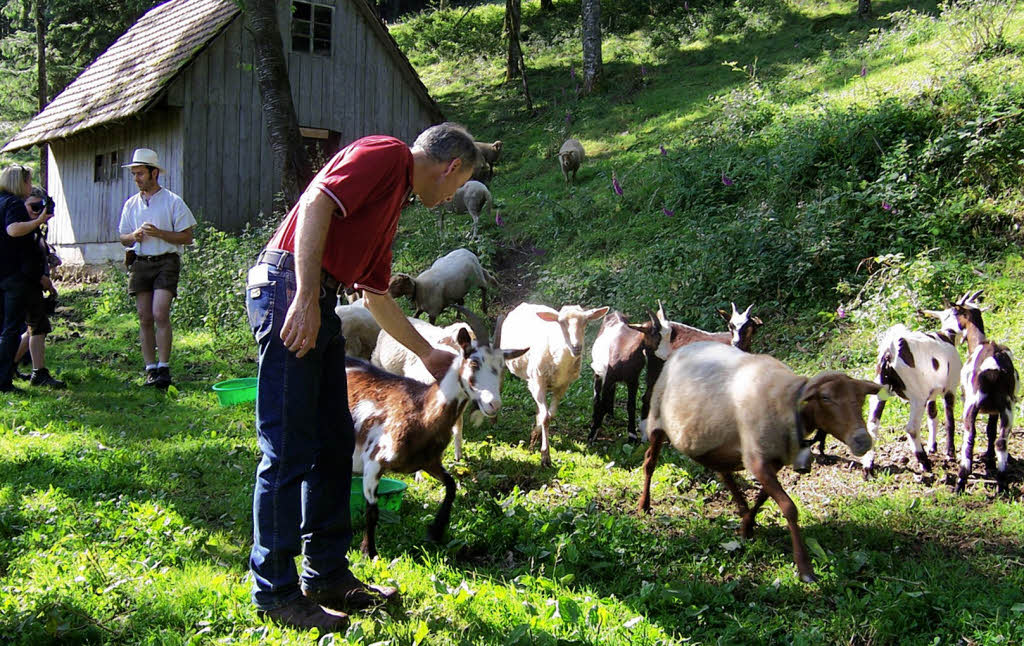 Meckern rund um den Rohrhardsberg Elzach Badische Zeitung