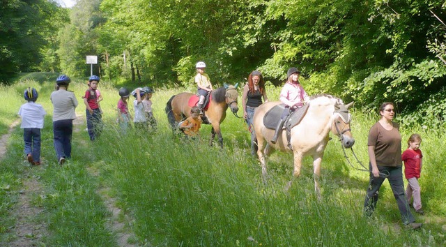 Raus in den Rheinwald auf dem  Pferder...mit dem Wyhler Reitbetrieb Holzwarth.   | Foto: Privat
