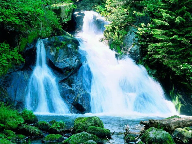 Idyllisch ist die Stimmung in Triberg  nur noch am Wasserfall.  | Foto: Stadt Triberg