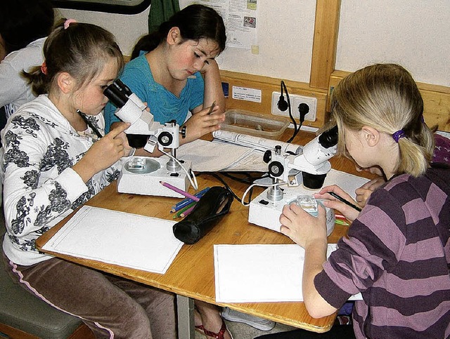 Erst das Mikroskop zeigt,  was sich al...ek und Julia untersuchen ihre Funde.    | Foto: Norbert Kriegl