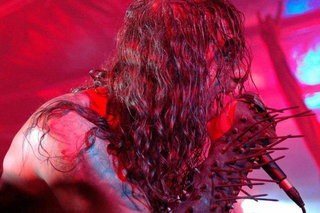 Baden in Blut: das Metal-Openair in Sdbaden