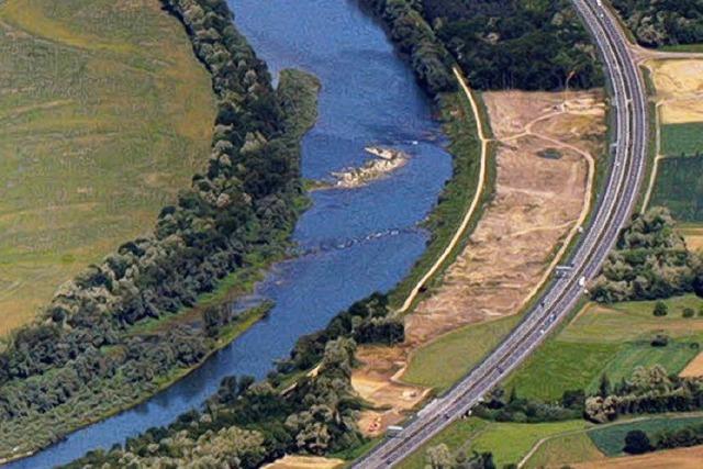 Hochwasserschutz: Kahlschlag am Rhein