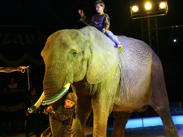 Reiten auf dem Elefanten &#8211; das t...s Oberbrgermeister gehrt nicht dazu.  | Foto: Rita Eggstein