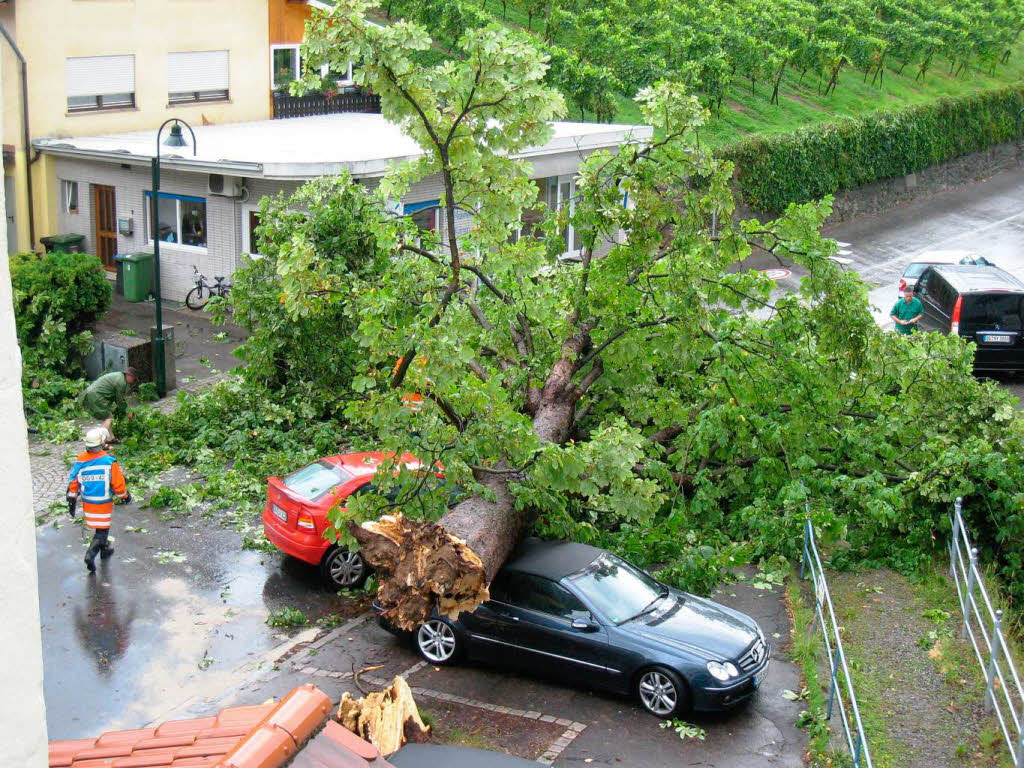 Im Offenburger Ortsteil Zell-Weierbach ist durch die Sturmbe eine 120 Jahre alte Kastanie umgestrzt.  Der Baum begrub zwei Autos unter  sich.