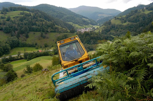 Aus Gestrpp werden Hackschnitzel: Dazu dient  ein neues Landschafspflegeprojekt  | Foto: Robert Bergmann