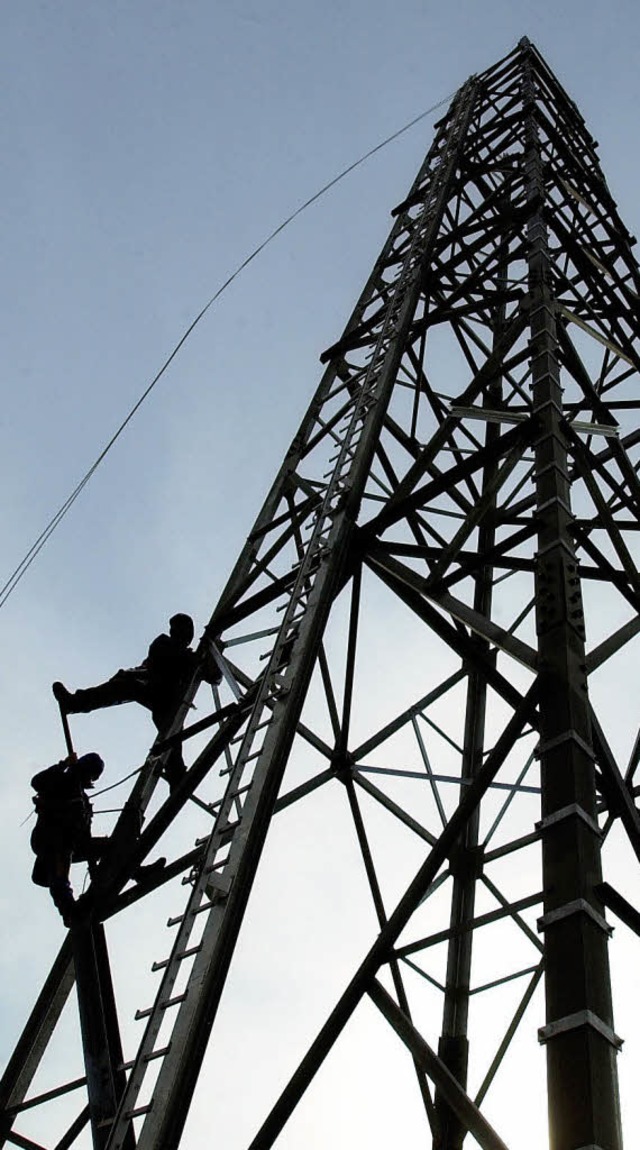 Fr das neue Funknetz fr Behrden und...rall im Land Stahlgittermasten gebaut.  | Foto: dpa