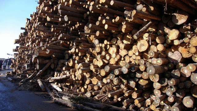 Nicht um dieses Holz, sondern  um Alth...hmigung fr die Firma German Pellets.   | Foto: Archivfoto: Katharina   Meyer