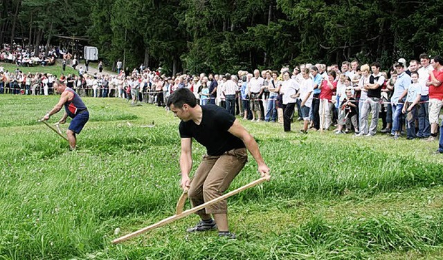 49 Quadratmeter in 49,33 Sekunden? Das...Weltrekordhalter im Sensen-Wettmhen.   | Foto: BZ