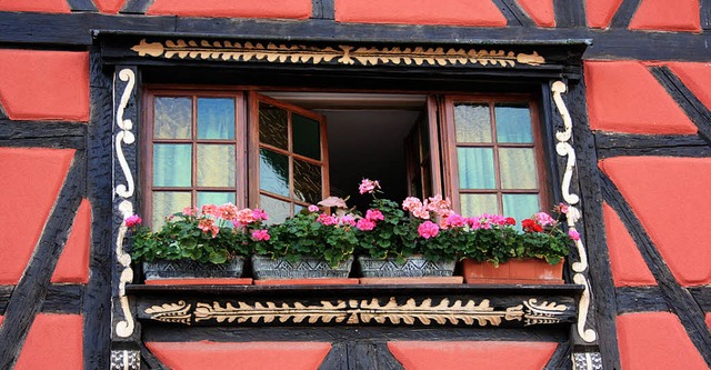 Ob fein  oder ppig: Blumen sind in Frankreich auch Politik.   | Foto: fotolia