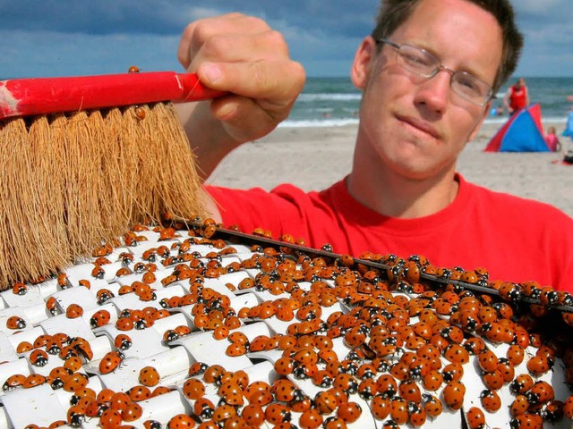 Martin Kunz vom Strandkorbverleih &#82...n seinen Verleihobjekten zu entfernen.  | Foto: dpa