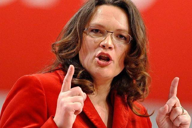 Fotos: Das ist Steinmeiers Wahlkampfteam