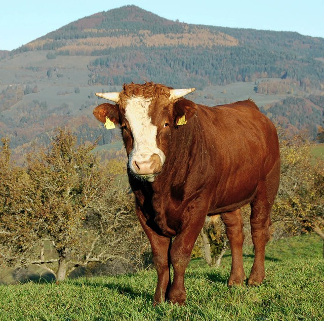 Weiden  sollen  offenbleiben. Dies  is...em  sich  die Stadt  Zell  beteiligt.   | Foto: Paul Berger