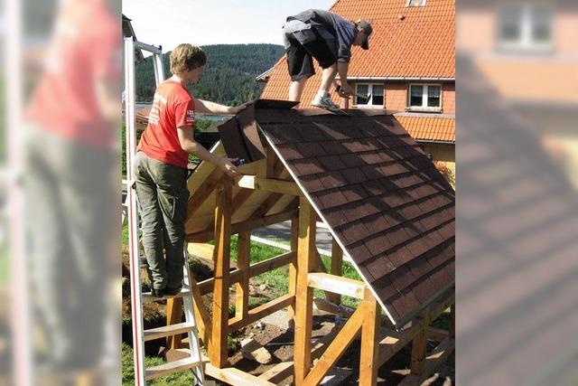 Schler bauen Holzhaus