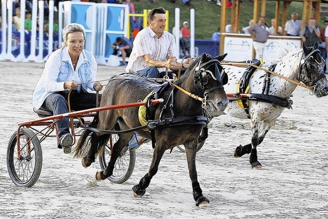 Wenn ber 20 Leute ein Pferd stoppen . . .