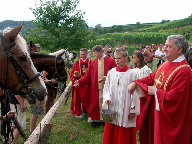 <Bildtext>Anlsslich des diesjhrigen ...der viele Pferde  gesegnet.</Bildtext>  | Foto: fke